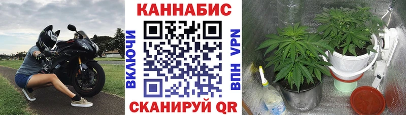 Codein Ленинск