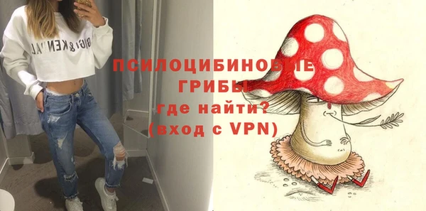 PSILOCYBIN Алексеевка