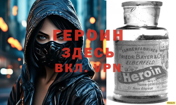 сатива Новокубанск