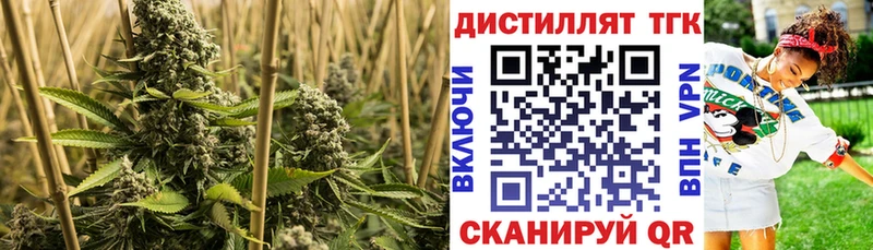 МЕГА tor  Ленинск  ТГК вейп 