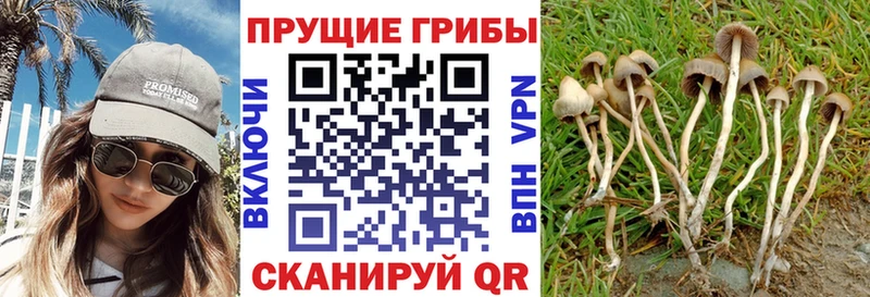 Псилоцибиновые грибы мухоморы  Ленинск 