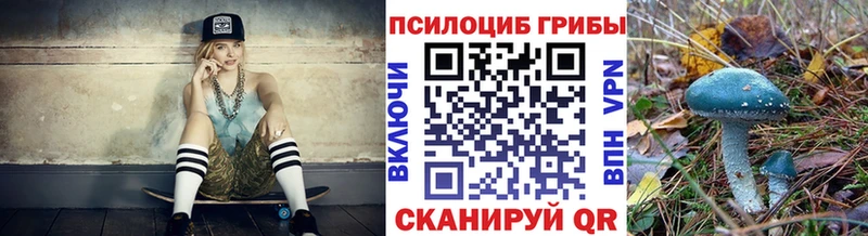Галлюциногенные грибы Cubensis Ленинск
